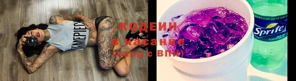 соль ск Дмитров