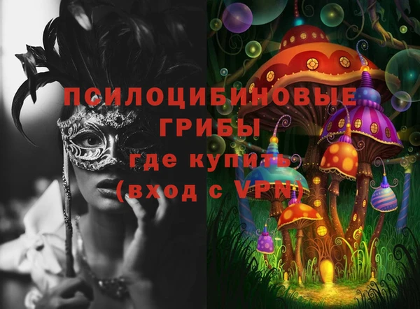 ECSTASY Дмитриев