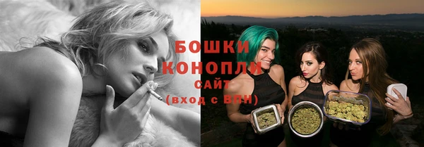 соль ск Дмитров