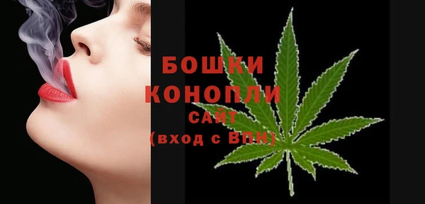 ECSTASY Дмитриев