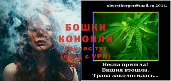ECSTASY Дмитриев