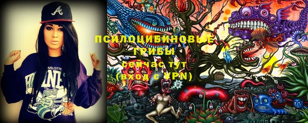 ECSTASY Дмитриев